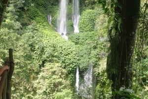 Z wyspy Gili: wodospady i tradycyjna wioska