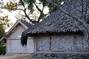 Z wyspy Gili: wodospady i tradycyjna wioska