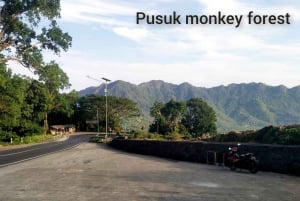 Z wyspy Gili: wodospady i tradycyjna wioska