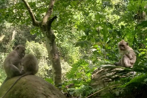 Z wyspy Gili: wodospady i tradycyjna wioska