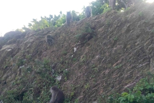 Z wyspy Gili: wodospady i tradycyjna wioska