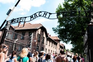 From Krakow: Auschwitz-Birkenau Museum & Camp Guided Tour
