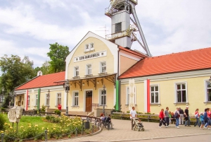 From Krakow: Wieliczka Salt Mine Guided Tour