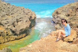 From Lembongan: Private Highlights East and West Nusa Penida