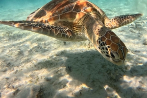 From Lombok: 3 Gilis Snorkeling & Jet Ski at Senggigi