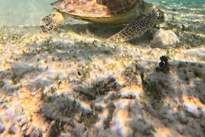 From Lombok: 3 Gilis Snorkeling & Jet Ski at Senggigi