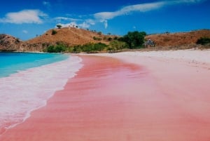 Lombok: Excursión de 4 días en barco a la isla de Komodo con comida y alojamiento