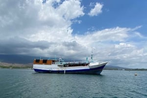 ロンボク島：食事と宿泊付きのコモド島4日間のボートツアー