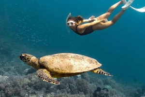 Von Lombok aus: Ganztagestour zu den Inseln Gili Gede, Rengit und Layar