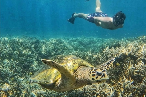 Von Lombok aus: Ganztagestour zu den Inseln Gili Gede, Rengit und Layar