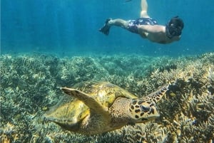 Från Lombok: Dagsutflykt till öarna Gili Gede, Rengit och Layar