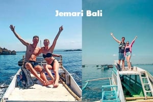 From Lombok: Full Day Tour 3 Pink Beach and 3 Gili