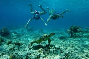 From Lombok: Gili Islands Snorkeling Day Trip