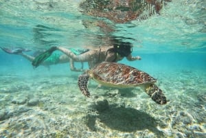 Depuis Lombok : Excursion d'une journée aux îles Gili pour faire de la plongée avec tuba