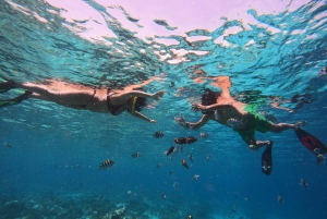 Fra Lombok: Dagstur med snorkling på Gili-øyene