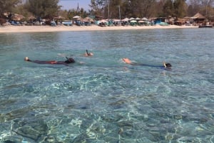 Von Lombok aus: Tagestour zu den Gili-Inseln zum Schnorcheln