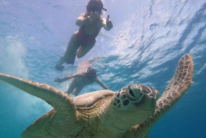 Depuis Lombok : Excursion d'une journée aux îles Gili pour faire de la plongée avec tuba