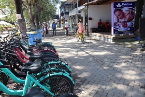 Depuis Lombok : Excursion d'une journée aux îles Gili pour faire de la plongée avec tuba