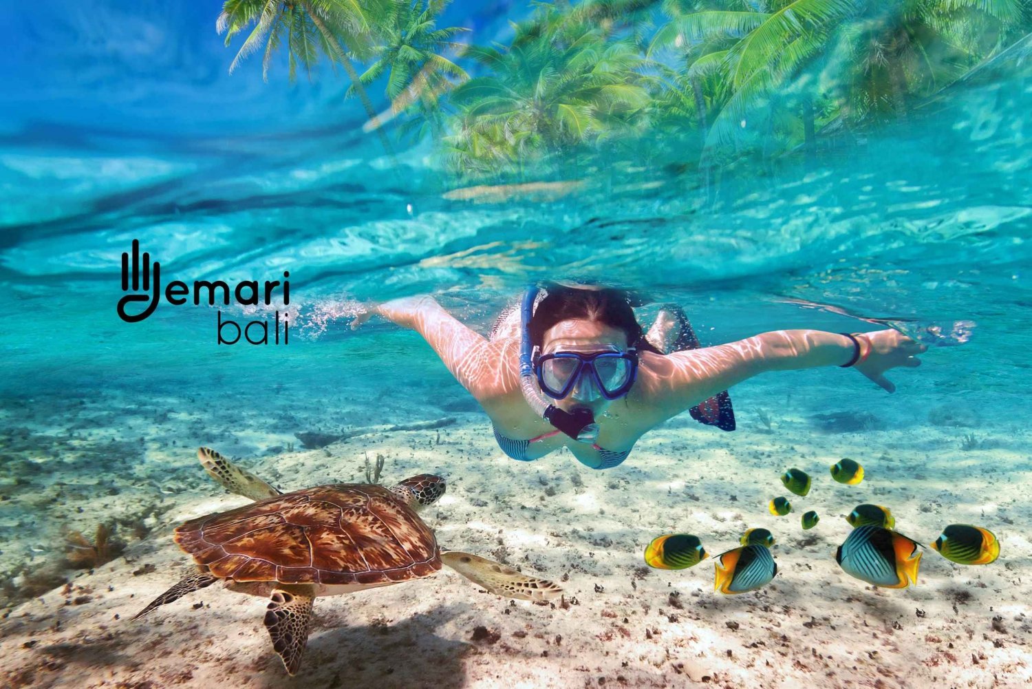 Vanuit Lombok: Prive snorkelen 3 Gili met lunch & Gopro