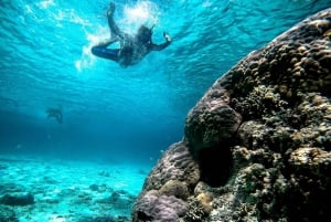 Z Lombok: Prywatny Snorkeling 3 Gili z Lunchem i Gopro