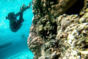 De Lombok: Mergulho particular com snorkel em 3 Gili com almoço e câmera fotográfica