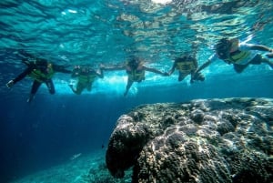 Fra Lombok: Privat snorkling 3 Gili med frokost og Gopro