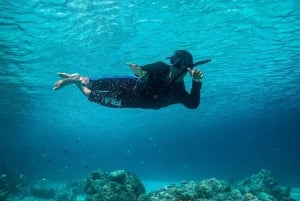 Fra Lombok: Privat snorkling på 3 Gili med lunsj og gopro