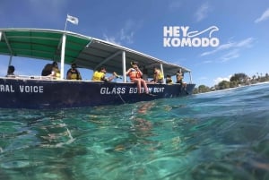 Vanuit Lombok: Privétour snorkelen 3 Gili Inc Lunch &Gopro