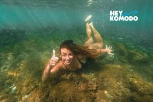 De Lombok: Tour particular Snorkeling 3 Gili Inc Almoço &Gopro