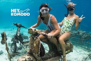 Из Ломбока: частный тур, подводное плавание 3, Gili Inc, обед и Gopro
