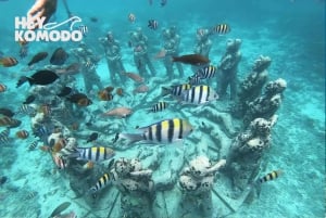 From Lombok: Private Tour Snorkeling 3 Gili Inc Lunch &Gopro
