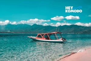 Från Lombok: Privat tur snorkling 3 Gili Inc Lunch &Gopro