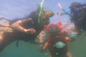 From Lombok: Southern Gilis Private Snorkelling Day Trip