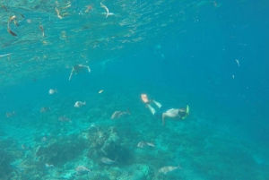 Au départ de Lombok : Excursion privée d'une journée de plongée libre dans les Gilis du Sud