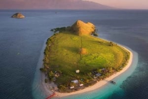 Au départ de Lombok, excursion à Sumbawa à la rencontre des requins baleines 2D1N