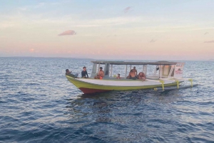 Au départ de Lombok, excursion à Sumbawa à la rencontre des requins baleines 2D1N