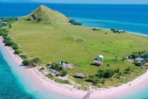 Au départ de Lombok, excursion à Sumbawa à la rencontre des requins baleines 2D1N