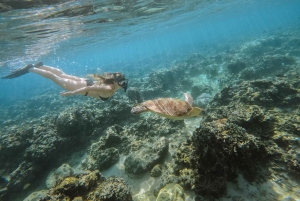 From Nusa Penida: 2D1N Gili Islands Private Snorkeling Tour