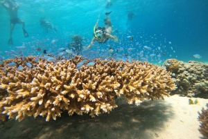 From Nusa Penida: 2D1N Gili Islands Private Snorkeling Tour