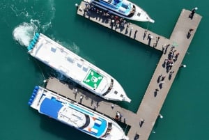 Van Nusa Penida: Enkele reis met de speedboot naar Gili