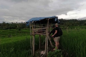 Full day tour from Mataram or Senggi to senaru waterfalls