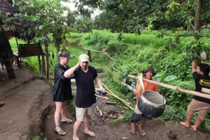 Full day tour from Mataram or Senggi to senaru waterfalls