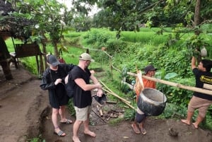 Full day tour from Mataram or Senggi to senaru waterfalls