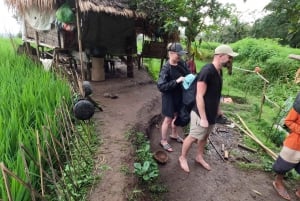 Full day tour from Mataram or Senggi to senaru waterfalls