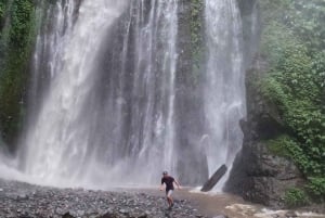 Full day tour from Mataram or Senggi to senaru waterfalls