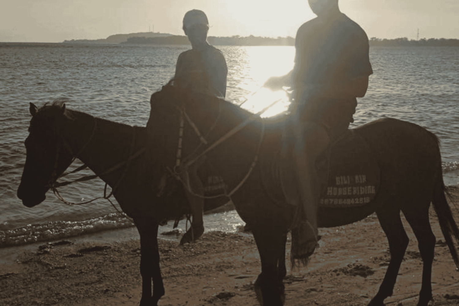 Gili Air: 1-Hour Horse Riding Adventure