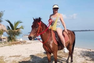 Gili Air: Aventura de 1 hora a caballo