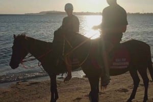 Gili Air: Aventura de 1 hora a caballo