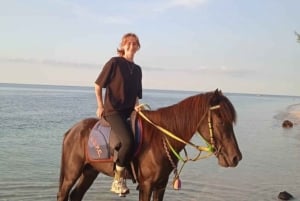 Gili Air: Aventura de 1 hora a caballo