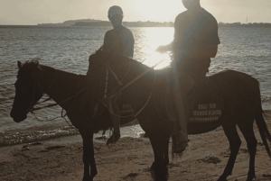 Gili Air: 1-Hour Horse Riding Adventure